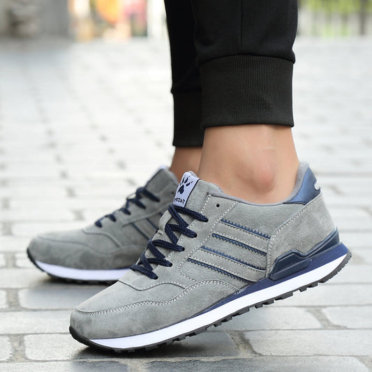 Wolf Grey